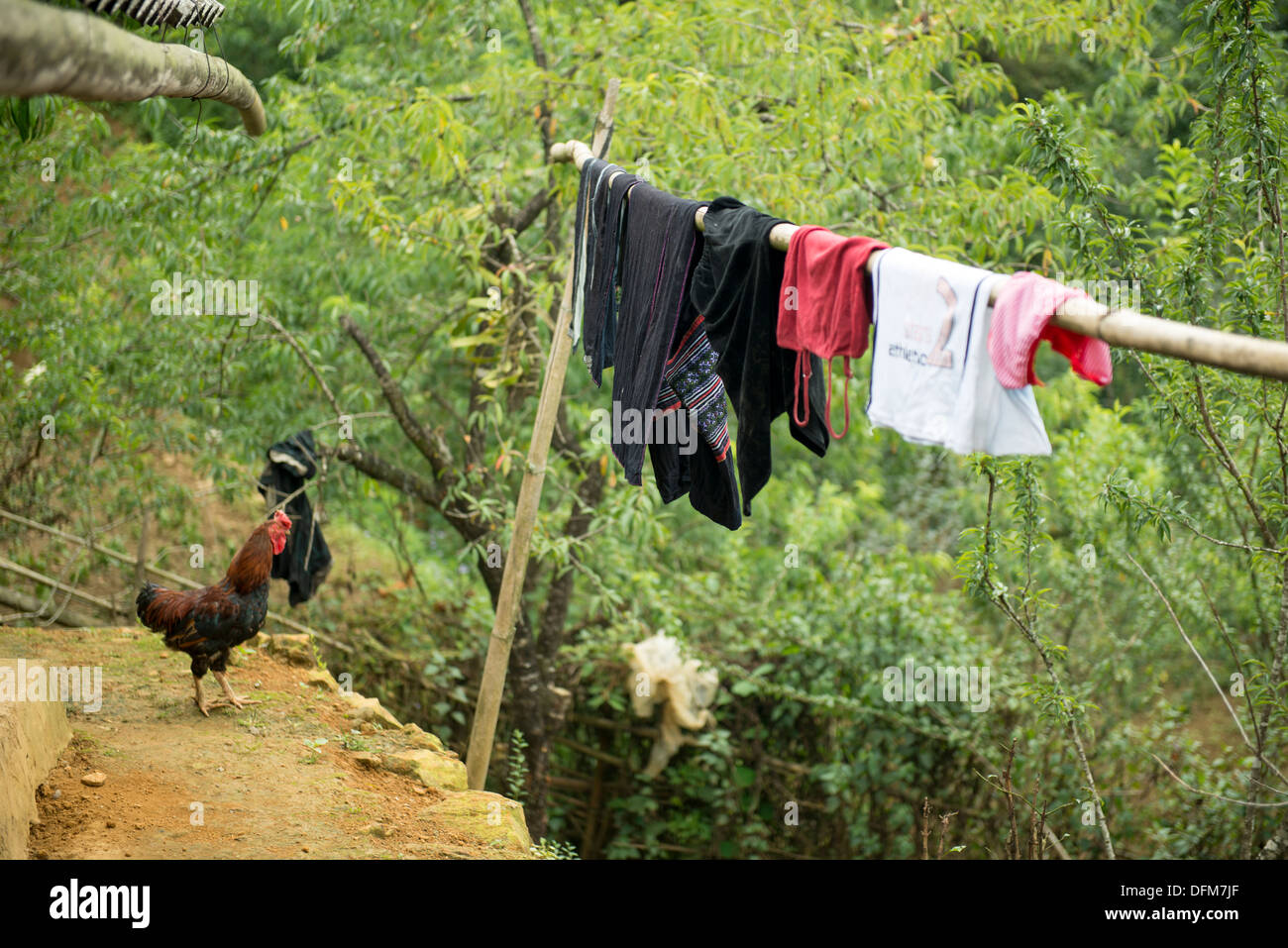 Minority group Black Hmong`s house chicken and laundry, Sa Pa, Vietnam Stock Photo